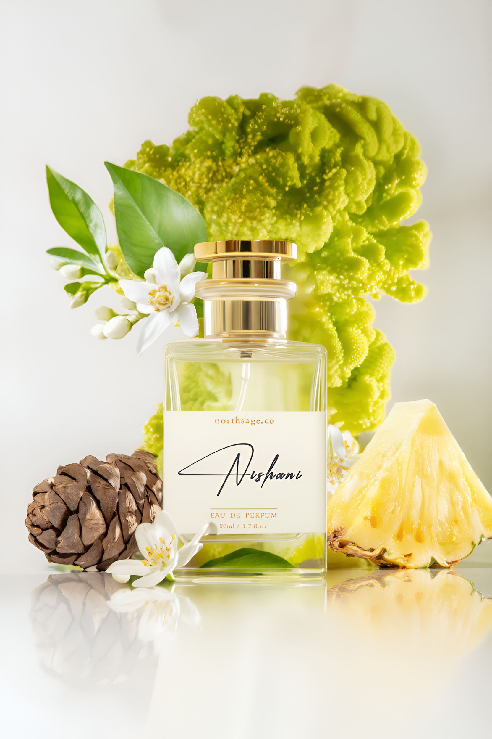 Nishane Hacivat inspired Nishani Eau de Parfum by NORTHSAGE, featuring a sleek bottle with elegant fragrance branding.